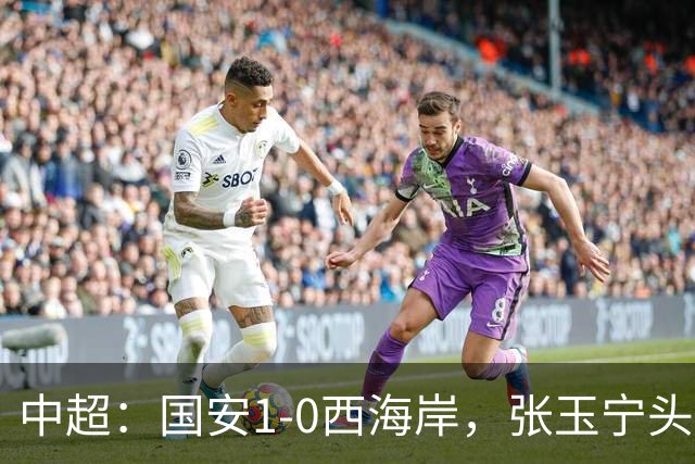 中超：国安1-0西海岸，张玉宁头槌，法比奥伤退