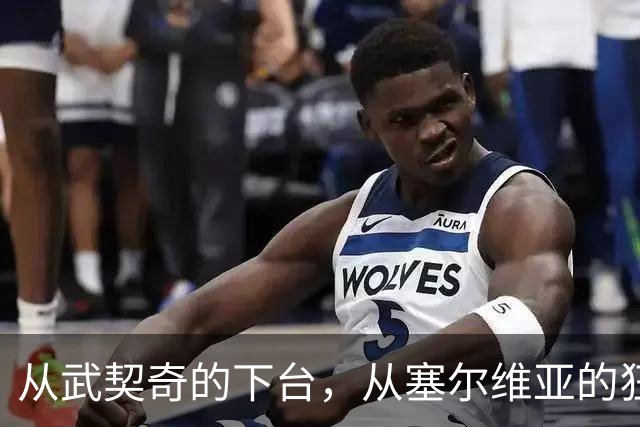 从武契奇的下台，从塞尔维亚的狂欢，来分析中国网友的眼界和素养