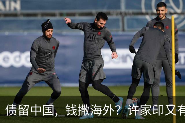 债留中国, 钱撒海外？许家印又有重大资产被挖, 捐哈佛12亿冰山一角