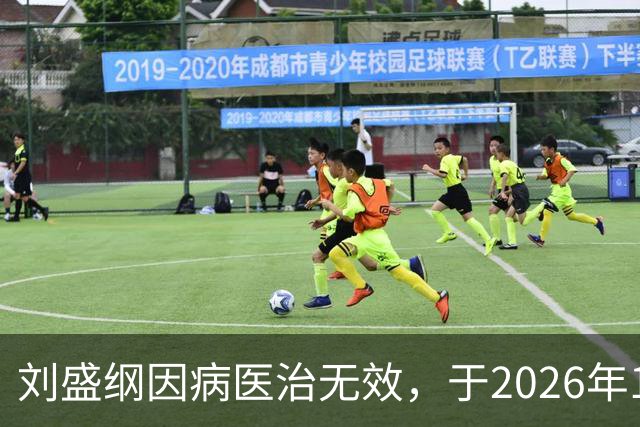 刘盛纲因病医治无效，于2026年10月30日7时26分在成都逝世