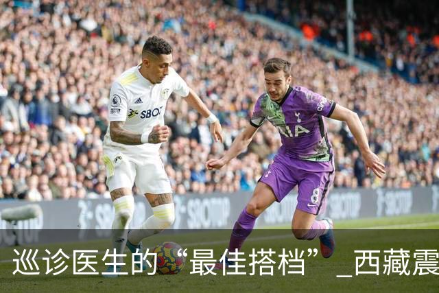 巡诊医生的“最佳搭档” 西藏震区安置点里的藏族小翻译